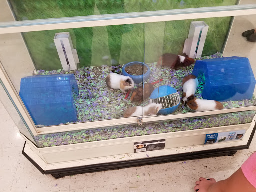 Pet Supply Store «PetSmart», reviews and photos, 6251 N Davis Hwy, Pensacola, FL 32504, USA