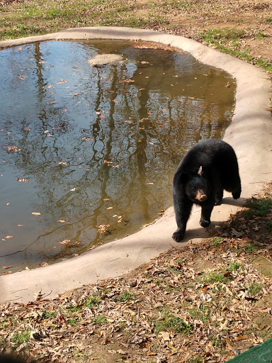 Non-Profit Organization «Dauset Trails Nature Center», reviews and photos, 360 Mt Vernon Church Rd, Jackson, GA 30233, USA