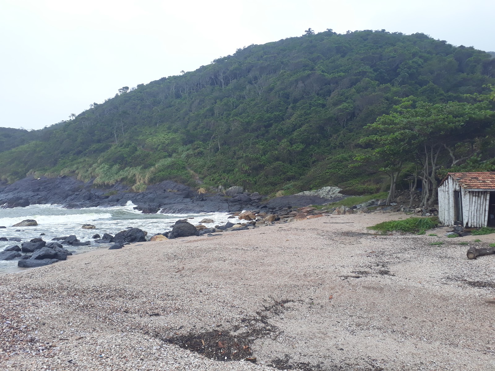 Galheta Beach'in fotoğrafı uçurumlarla desteklenmiş