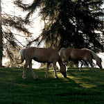 Photo n°1 de l'avis de Vera.d fait le 16/07/2021 à 16:38 sur le  Lanzenschuster à Bolzano