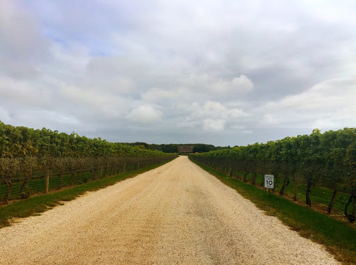 Winery «Channing Daughters Winery», reviews and photos, 1927 Scuttle Hole Rd, Bridgehampton, NY 11932, USA