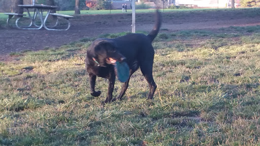 Dog Park «Hazeldale Park/ Dog park», reviews and photos, SW Farmington Rd, Aloha, OR 97007, USA