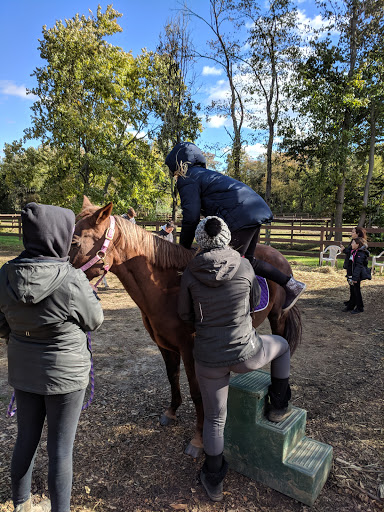 Golf Course «Knob Hill Golf Course», reviews and photos, 1 Shinnecock Dr, Manalapan Township, NJ 07726, USA