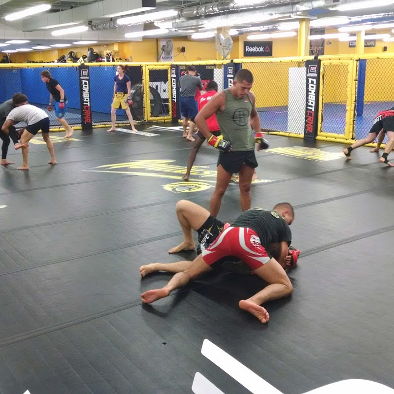 Roufusport Jiu Jitsu BJJ MMA Mixed