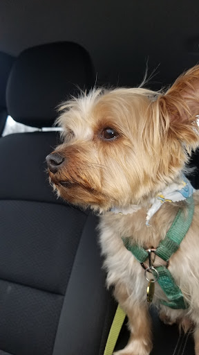 Pet Supply Store «Petco Animal Supplies», reviews and photos, 8551 S Howell Ave, Oak Creek, WI 53154, USA