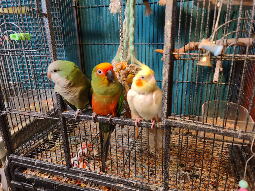 Pet Store «Pet Paradise», reviews and photos, 307 Kellam Rd, Virginia Beach, VA 23462, USA