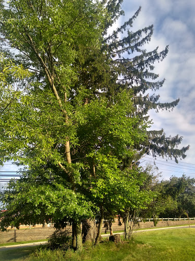 Park «Mills Reservation County Park», reviews and photos, Highland Ave, Cedar Grove, NJ 07009, USA