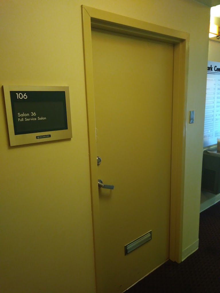 Salon 36 21117