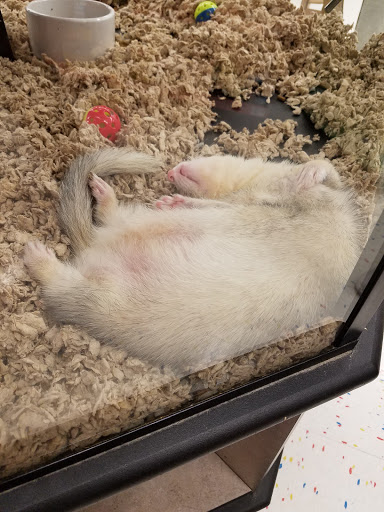 Pet Supply Store «Petco Animal Supplies», reviews and photos, 12014 SW 88th St, Miami, FL 33186, USA