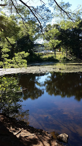 Park «Russell Mill Pond and Town Forest», reviews and photos, 105 Mill Rd, Chelmsford, MA 01824, USA