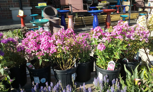 Grocery Store «Kroger», reviews and photos, 17447 Carey Rd, Westfield, IN 46074, USA