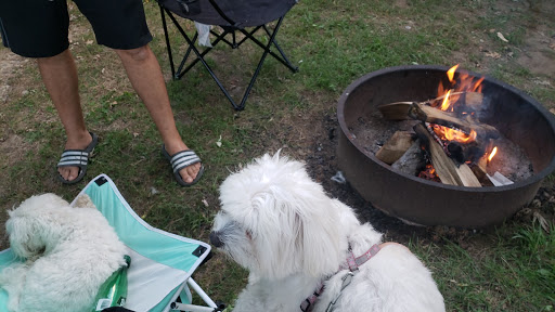 Campground «Boston / Cape Cod KOA Holiday», reviews and photos, 438 Plymouth St, Middleborough, MA 02346, USA