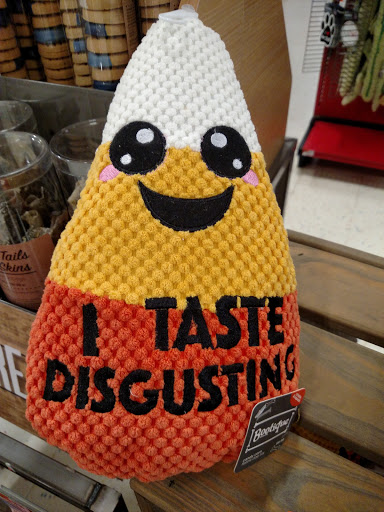 Pet Supply Store «Petco Animal Supplies», reviews and photos, 438 Southbridge St, Auburn, MA 01501, USA