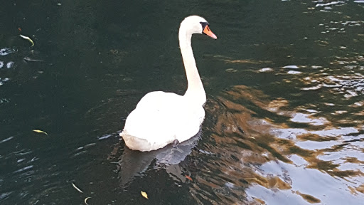 Tire Shop «Firestone Complete Auto Care», reviews and photos, 910 6600 S, Murray, UT 84121, USA