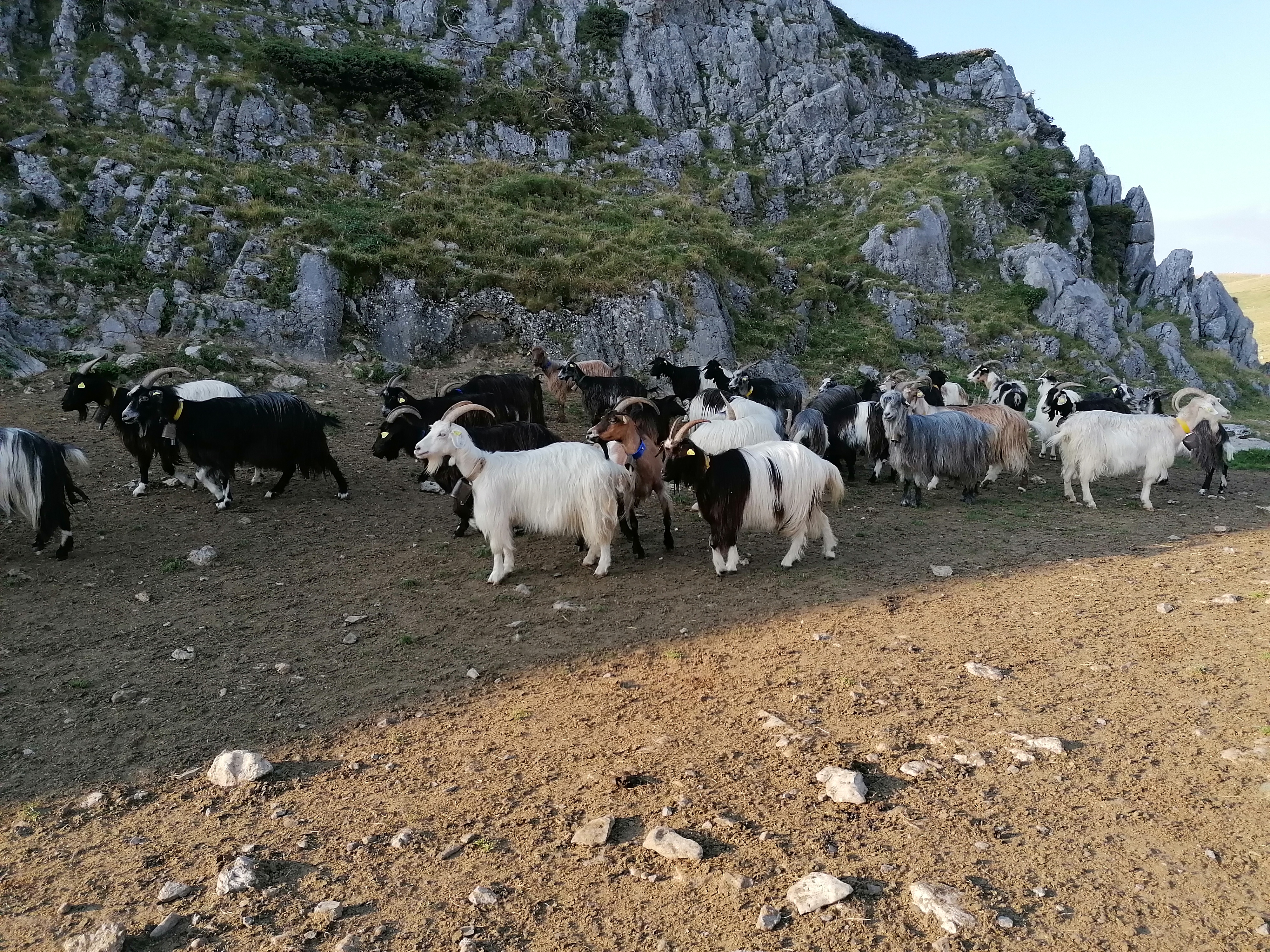 Photo n° 8 de l'avis de Dex.� fait le 23/07/2020 à 19:05