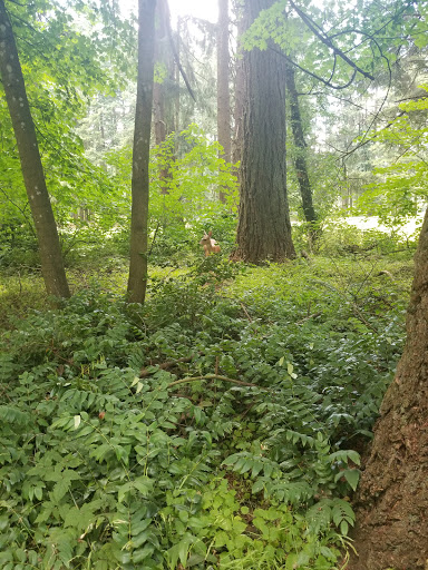 Golf Course «Glendoveer Golf & Tennis», reviews and photos, 14015 NE Glisan St, Portland, OR 97230, USA