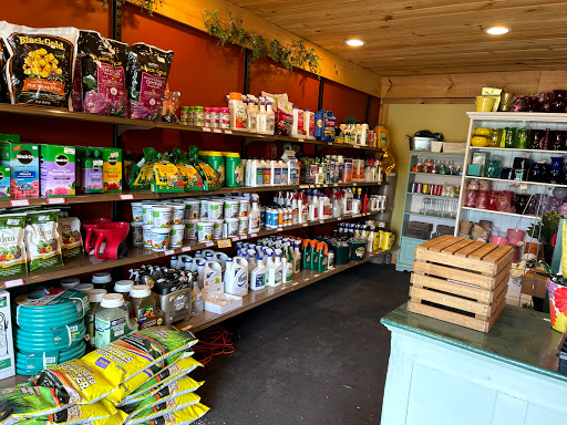 Florist «Petals & Paws», reviews and photos, 465 Albany Turnpike, Canton, CT 06019, USA