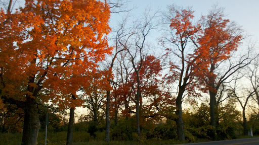 Nature Preserve «Fox Bluff Conservation Area», reviews and photos, Cold Springs Rd, Algonquin, IL 60102, USA