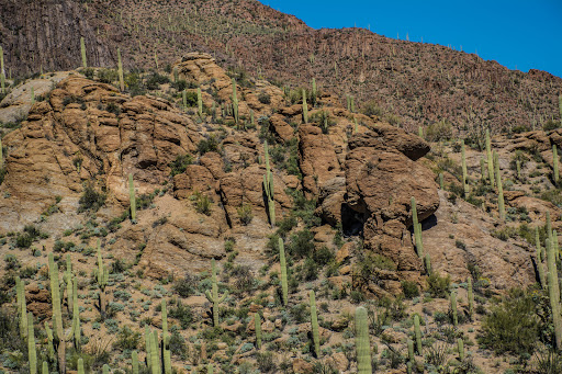 Theme Park «Old Tucson», reviews and photos, 201 Kinney Rd, Tucson, AZ 85735, USA