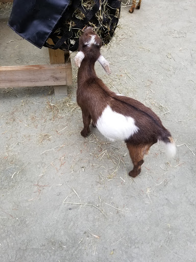 State Government Office «Wilmington State Parks», reviews and photos, 1021 W 18th St, Wilmington, DE 19802, USA