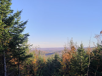 Van Tassel Lake Trails