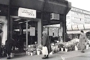 BLUME2000 Berlin Berlinerstraße image