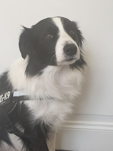 Dierenartsen Centrum ASsist - Bastenaken