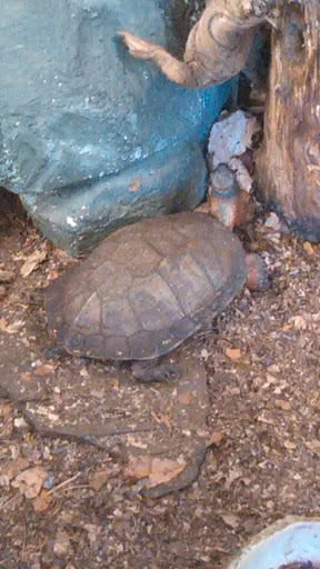 Nature Preserve «Beaver Meadow Audubon Center», reviews and photos, 1610 Welch Rd, Java Center, NY 14082, USA