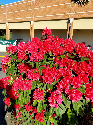 Home Improvement Store «Orchard Supply Hardware», reviews and photos, 10860 SW Barnes Rd, Portland, OR 97232, USA