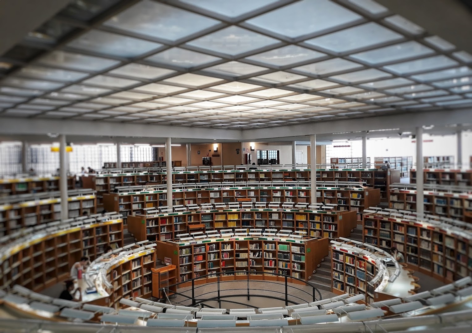 Biblioteca de Ciencias Sociales y Jurídicas