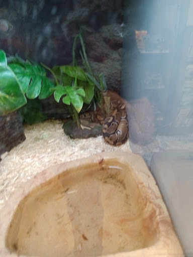 Pet Supply Store «Petco Animal Supplies», reviews and photos, 43465 Ford Rd, Canton, MI 48187, USA