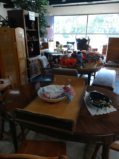 Thrift Store «Freedom Treasures Resale Store», reviews and photos, 7570 Cooley Lake Rd, Waterford Twp, MI 48327, USA