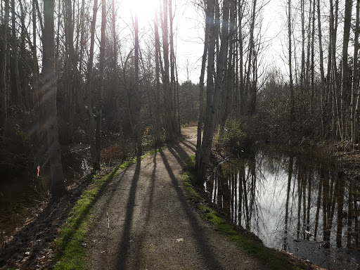 Park «Waterworks Gardens», reviews and photos, Oakesdale Ave SW, Renton, WA 98057, USA