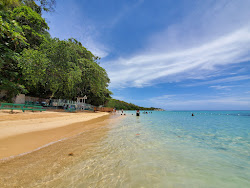 Foto von Dunn's River Beach mit geräumige küstenlinie