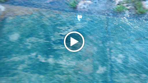 Supermarket «ALDI», reviews and photos, 2554 Fort Campbell Blvd, Hopkinsville, KY 42240, USA