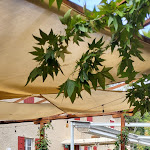 Photo n°7 de l'avis de Veiko.e fait le 01/10/2022 à 10:16 sur le  Parco della Rocca Borromea à Arona