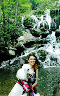 Tiny Whiskers Pet Care - Photo 2 - Car repair in , Raleigh