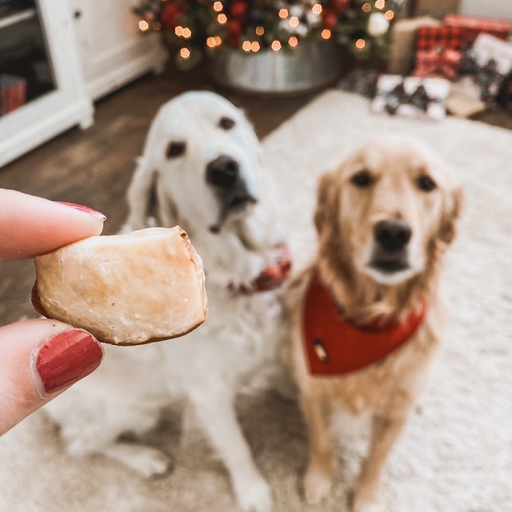 Pet Supply Store «Pet Wants», reviews and photos, 9486 S Union Square, Sandy, UT 84070, USA