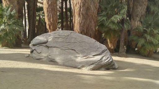 Tourist Attraction «Indian Canyons», reviews and photos, 38520 S Palm Canyon Dr, Palm Springs, CA 92264, USA