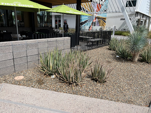 Shopping Mall «Park Central», reviews and photos, 3121 N 3rd Ave #200, Phoenix, AZ 85013, USA