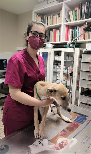 Clínica Veterinaria Cantin y Gamboa en Zaragoza
