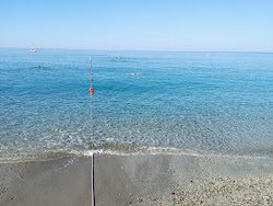 Zdjęcie Spiaggia Deiva Marina z poziomem czystości wysoki