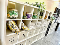 Check Nails and Spa - Photo 9 - Car repair in North Easton, MA, Brockton