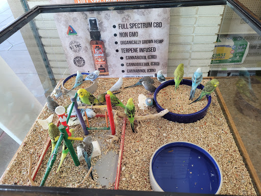 Pet Supply Store «Paw Shoppe Pet Center», reviews and photos, 6416 E Spring St, Long Beach, CA 90815, USA