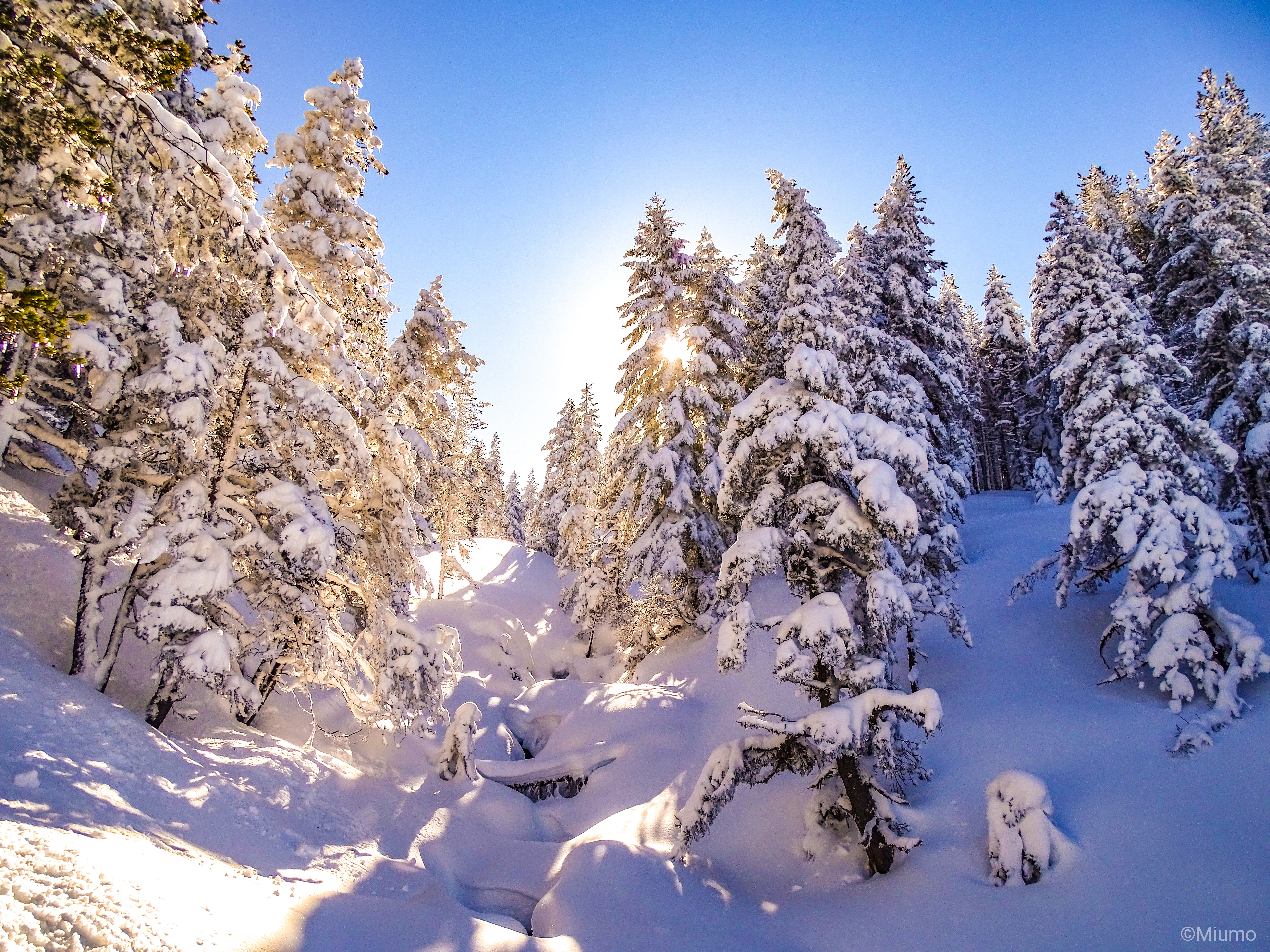 Photo n° 1 de l'avis de Aurélien. fait le 13/03/2019 à 14:47