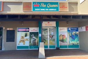 The Queen Pet Shop - Nina Park image