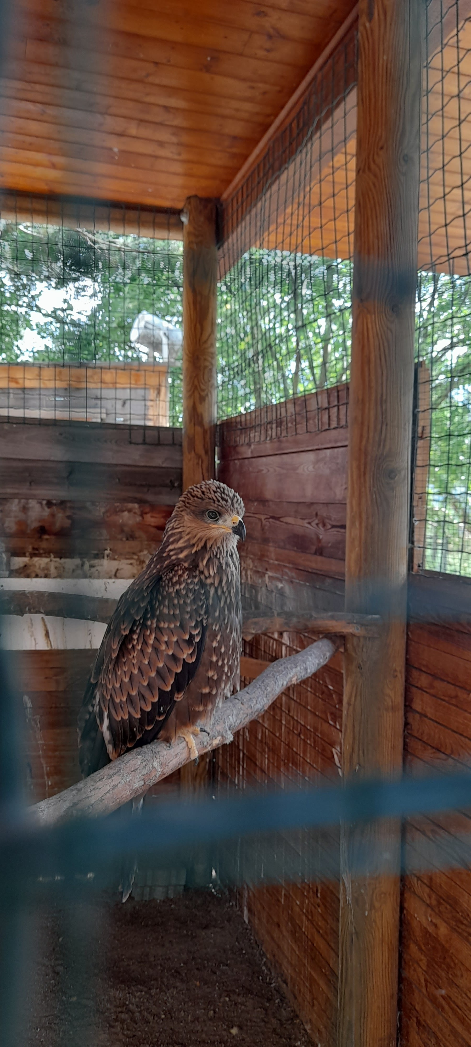 Photo n° 2 de l'avis de Rose. fait le 20/08/2021 à 15:28