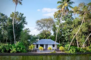 Emerald Backwaters image