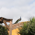 Photo n°1 de l'avis de Chiara.a fait le 07/07/2018 à 13:18 sur le  Albergo Diffuso Aquae Sinis à Cabras