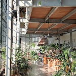 Photo n°3 de l'avis de Massimo.o fait le 12/02/2024 à 17:18 sur le  Caffè La Serra à Venice